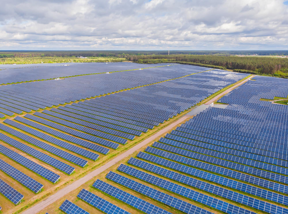 Sustainability